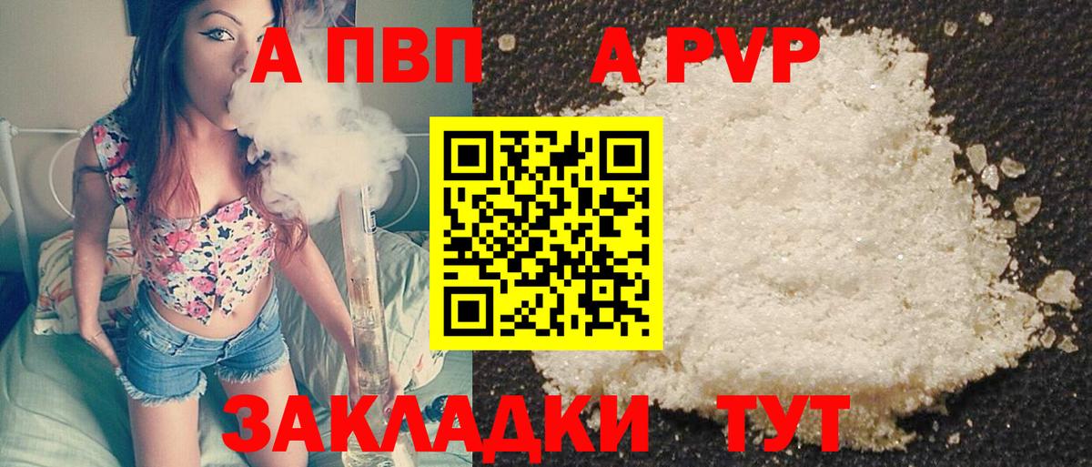 Alfa_PVP СК Сосновый Бор