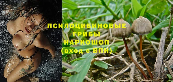 ПСИЛОЦИБИНОВЫЕ ГРИБЫ Алексеевка