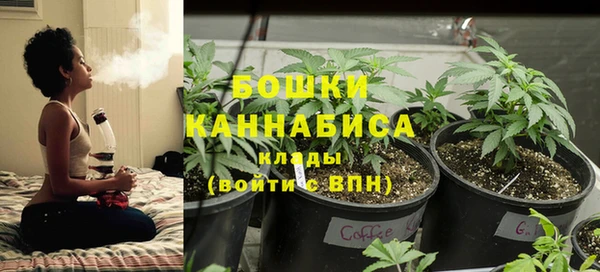 ПСИЛОЦИБИНОВЫЕ ГРИБЫ Алексеевка