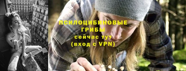 ПСИЛОЦИБИНОВЫЕ ГРИБЫ Алексеевка