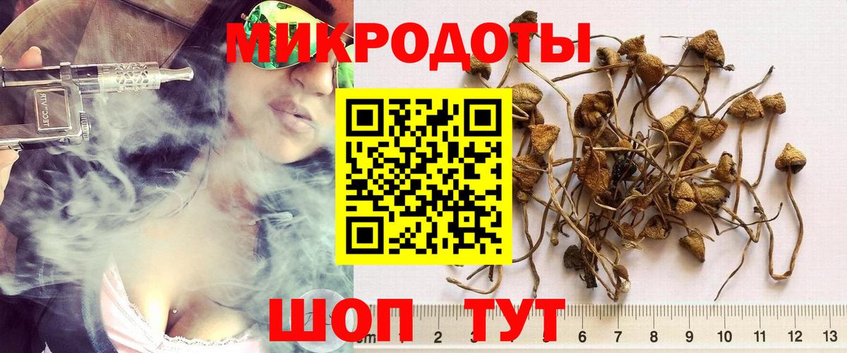 Псилоцибиновые грибы мухоморы  продажа наркотиков  Сосновый Бор  Вход с VPN 