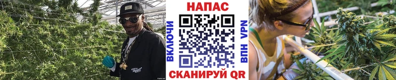МАРИХУАНА план  KRAKEN зеркало  Сосновый Бор 