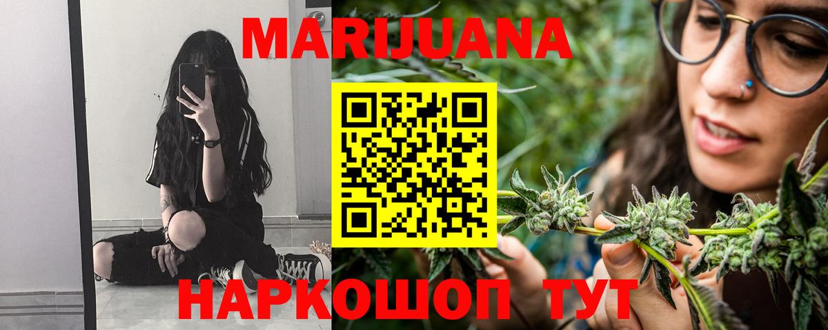 Бошки Шишки планчик Сосновый Бор